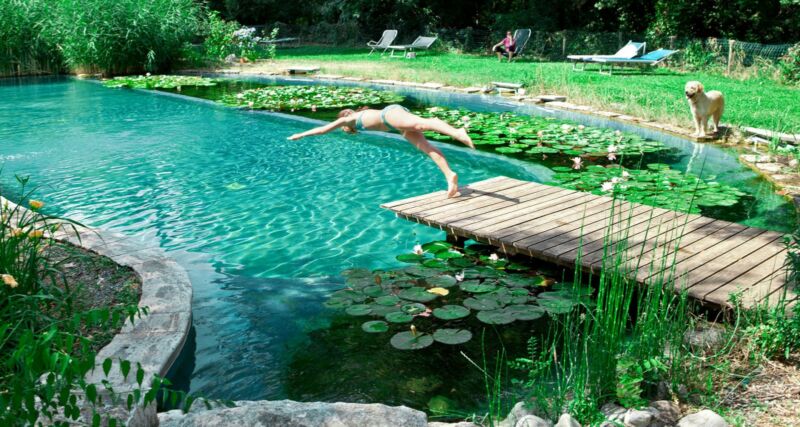 piscine écologique bien entretenue