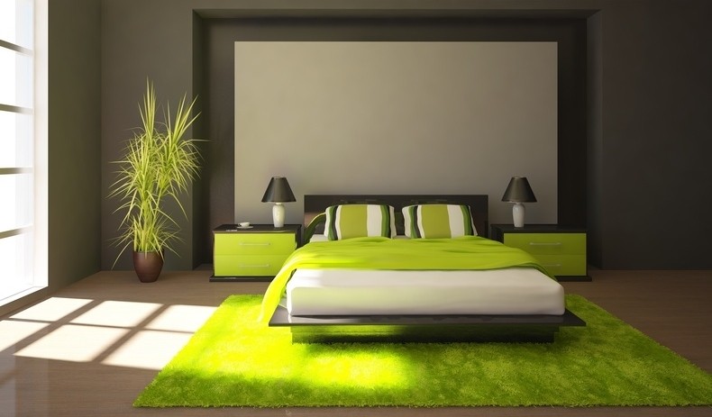 Est-ce dangereux d'avoir une plante verte dans sa chambre ? 4