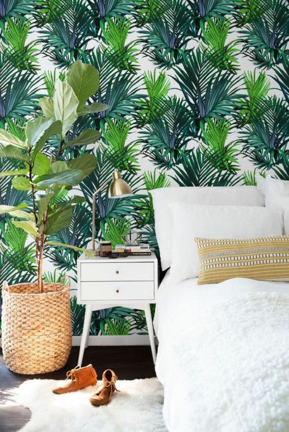 Est-ce dangereux d'avoir une plante verte dans sa chambre ? 8