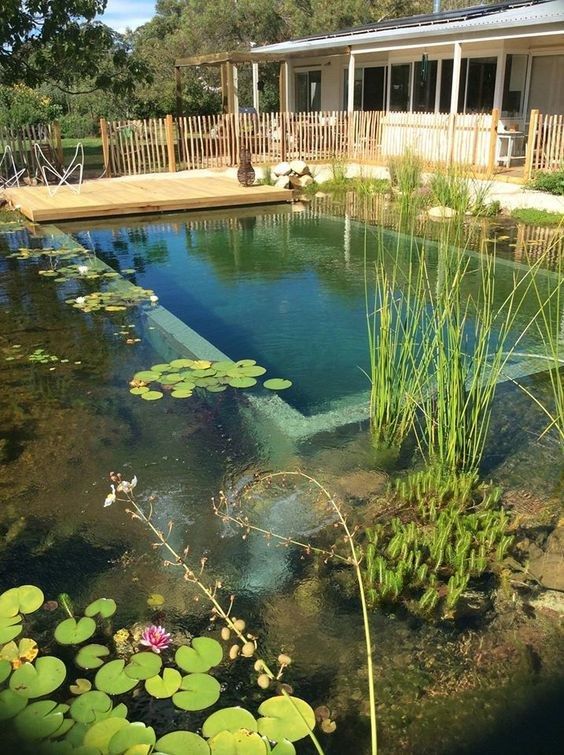 Une piscine 100 % naturelle qui se nettoie en plus grâce aux plantes. 