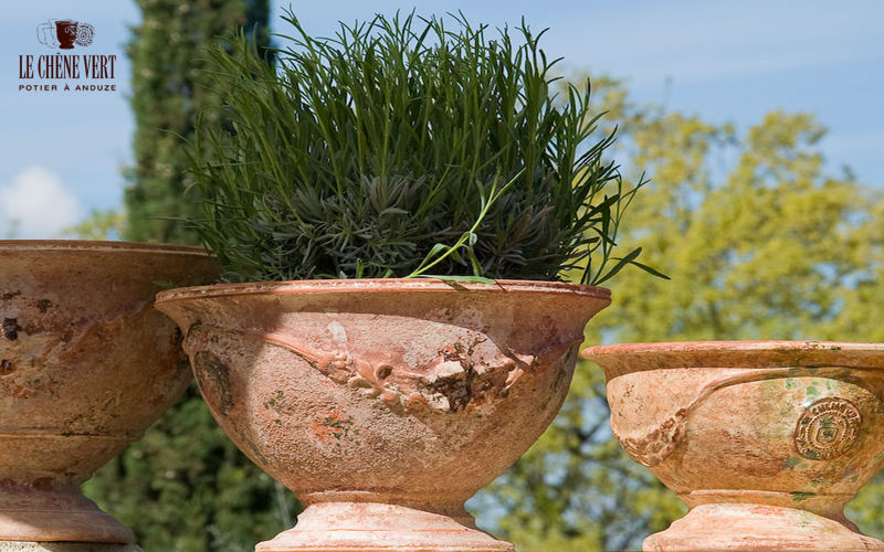 vasque de jardin avec des plantes en terre cuite